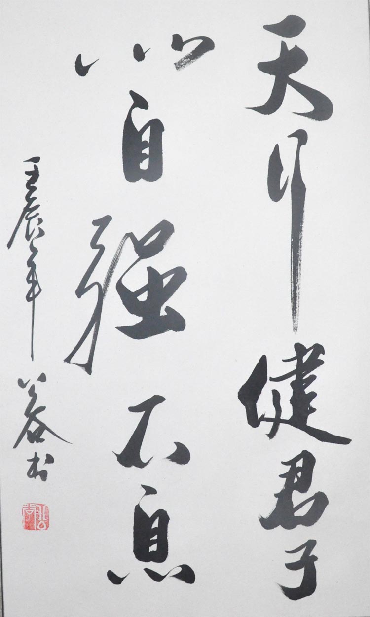 《天行健君子以自强不息》浩贤堂书法作品真迹横幅已装裱卷轴条幅