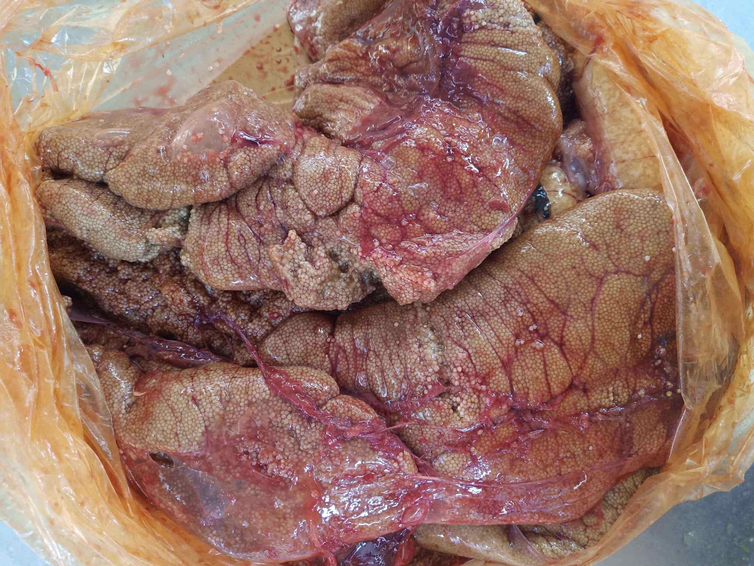 鱼籽 新鲜鲤鱼籽 鲫鱼籽白鱼籽鲈鱼籽杂鱼籽1份500g2份包邮