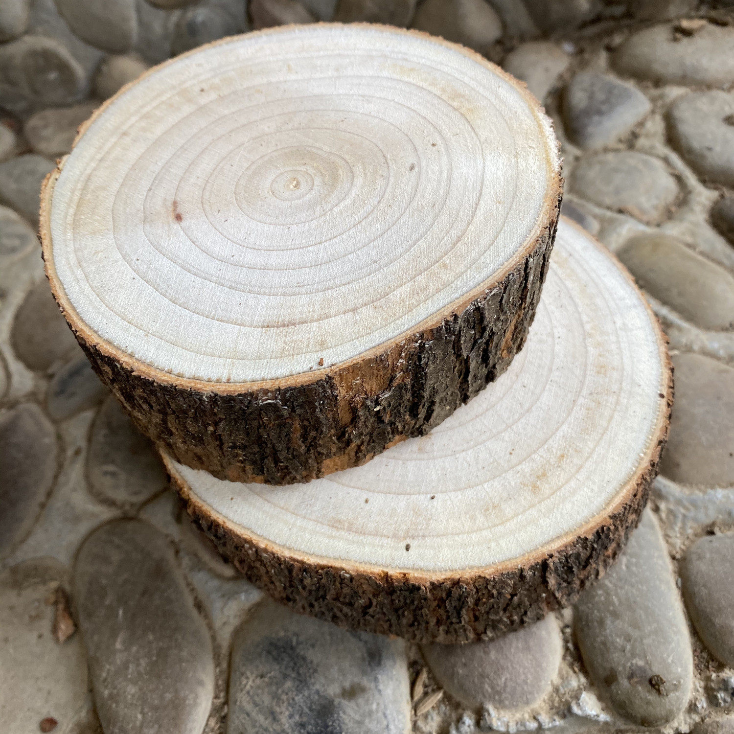 天然香樟木片圆带原木樟树块树衣柜防虫樟木摆件