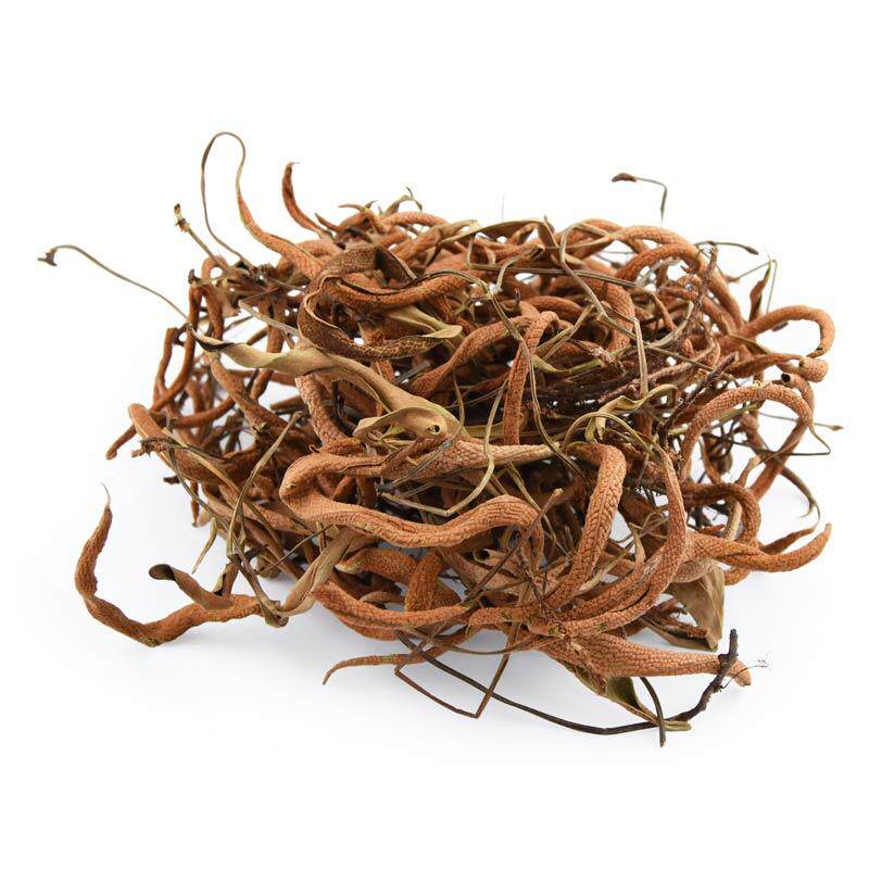 石韦6件包邮小叶石韦石苇石兰500g克中草药材初级农产品