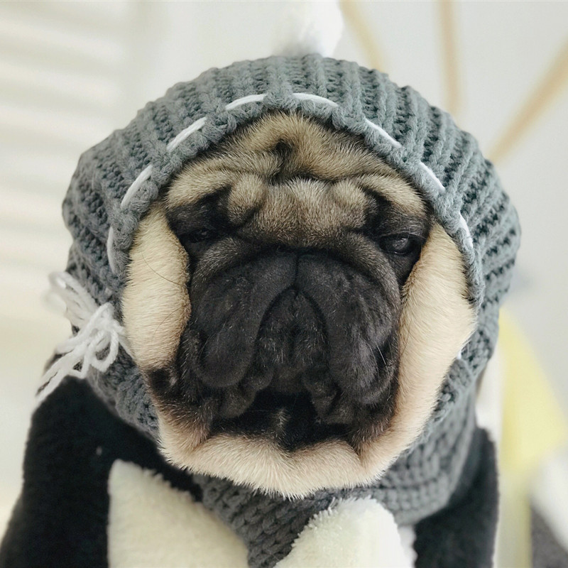 保暖毛线狗狗帽子英法斗牛巴哥柴犬柯基头套帽子
