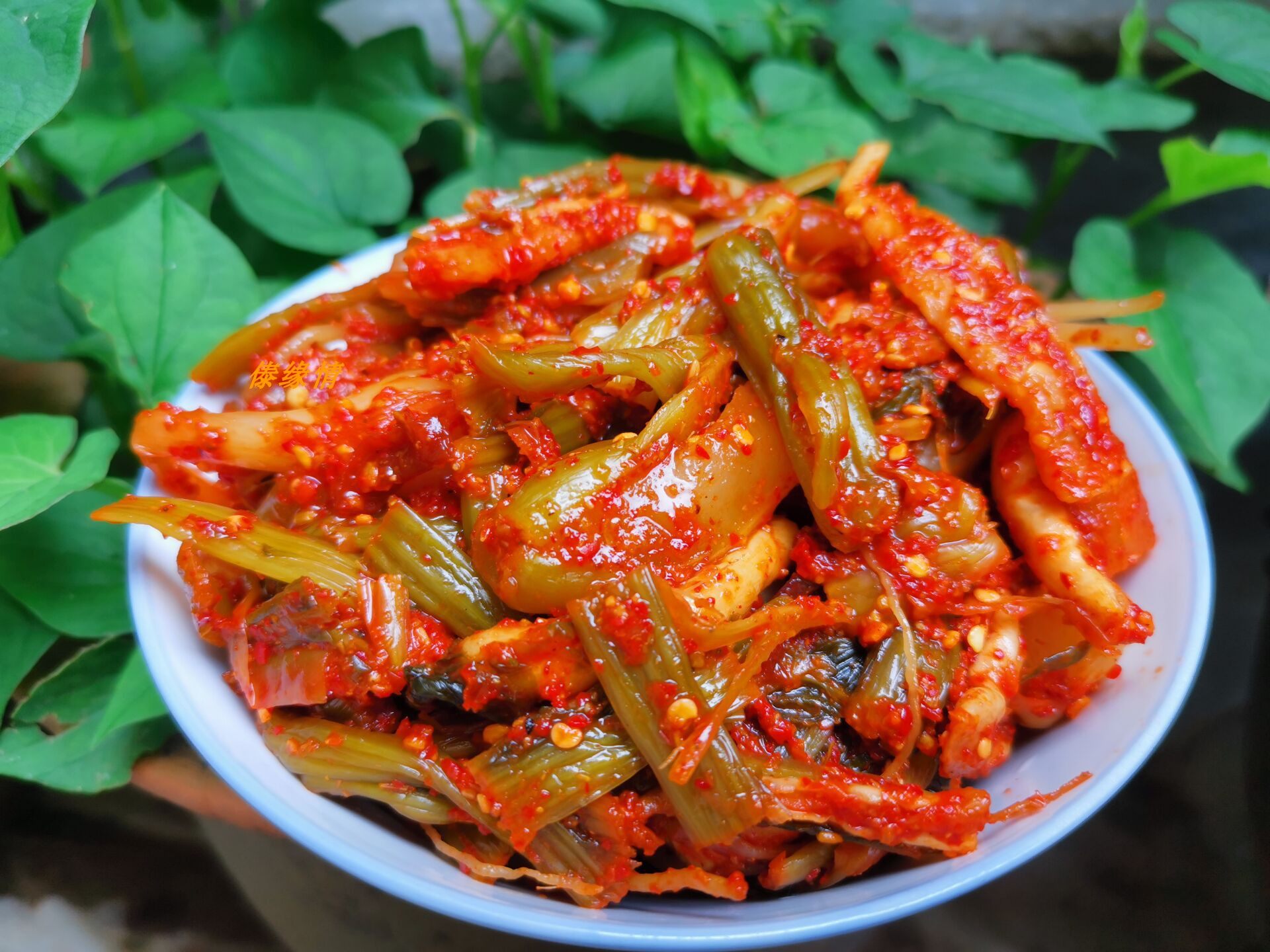 腌菜云南德宏特产八宝酸辣辣腌菜微辣老坛酸菜辣椒酱