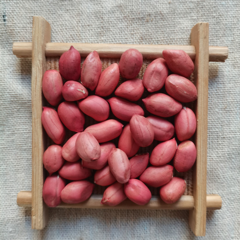 花生云南粒散包生红四粒种植红皮农家花生米红衣花生