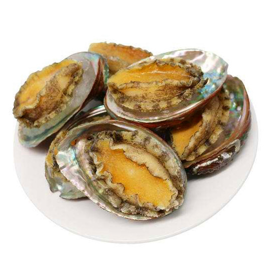 鲍鱼大连烫冻8头速冻火锅铁板铁板烧烧烤西餐鲍鱼