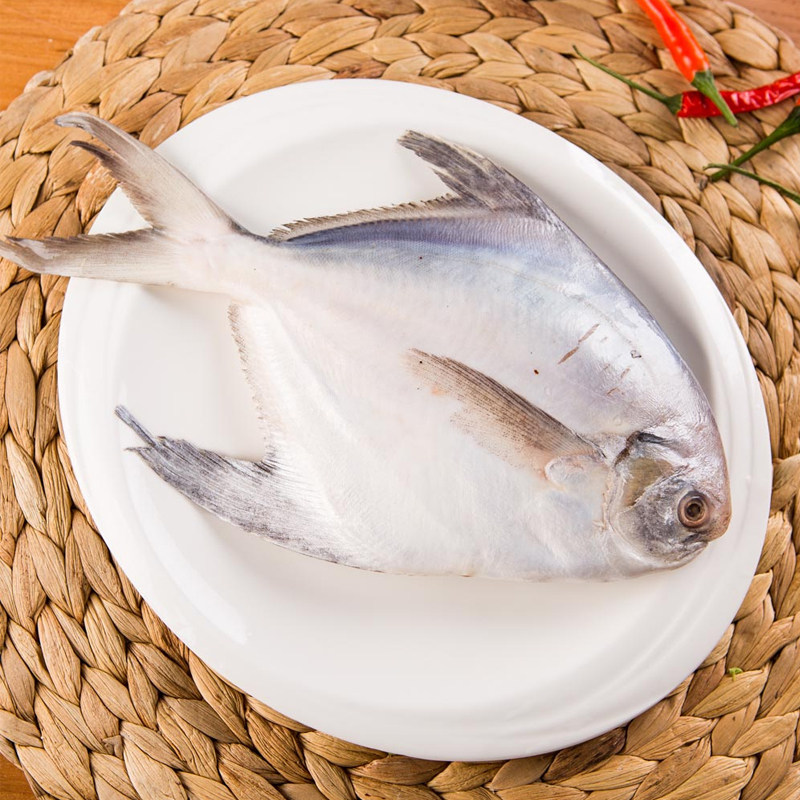 1500克鲳鱼海鱼新鲜白鲳鲜活冷冻平鱼扁鱼海鲜其它
