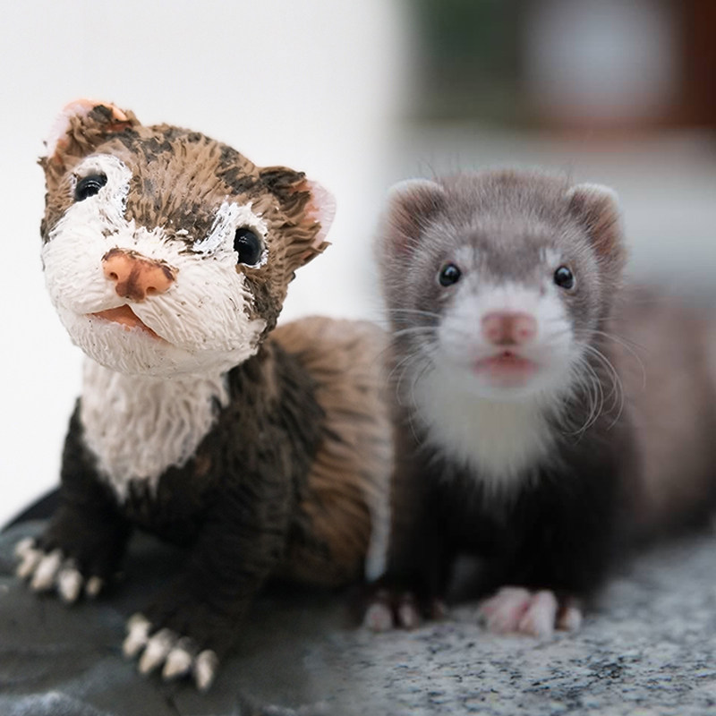 手工软陶雪貂公仔定制宠物小龙貂玛雪儿通用宠物貂