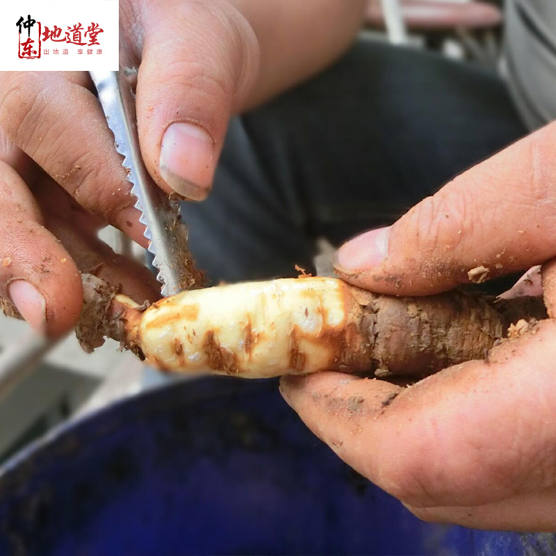 野生隔山消 中药材隔山撬 农家自挖白何首乌牛皮消18年新鲜货上市