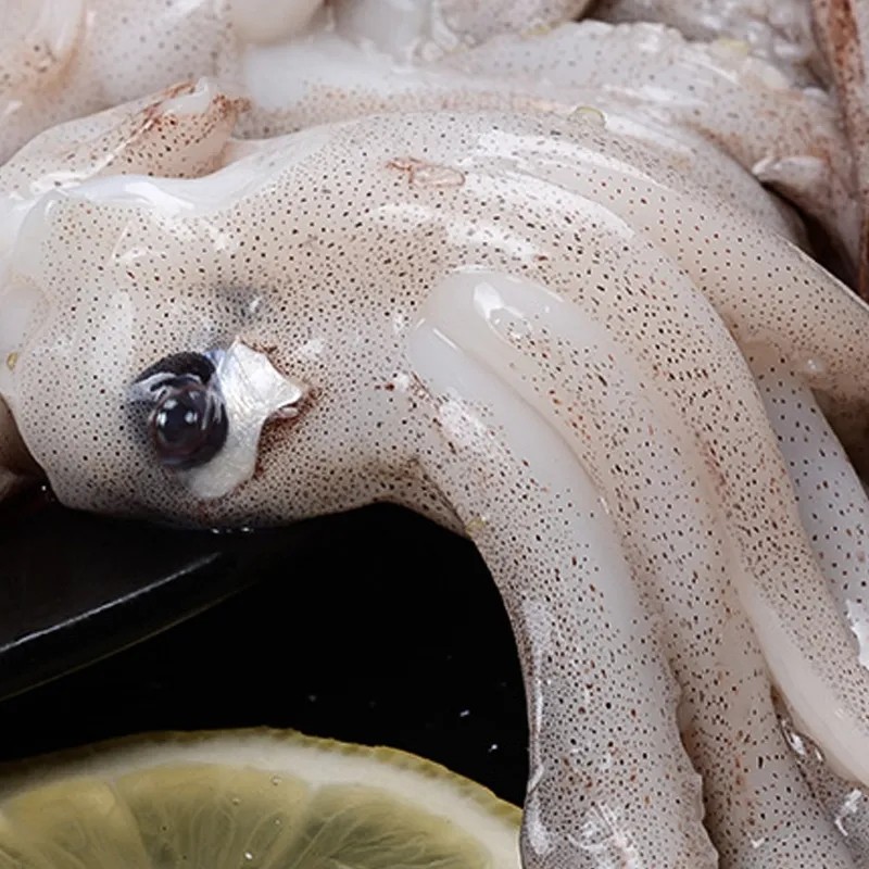 超大深海鱿鱼10斤冷冻冷链发货水产新鲜烧烤冷冻鱿鱼