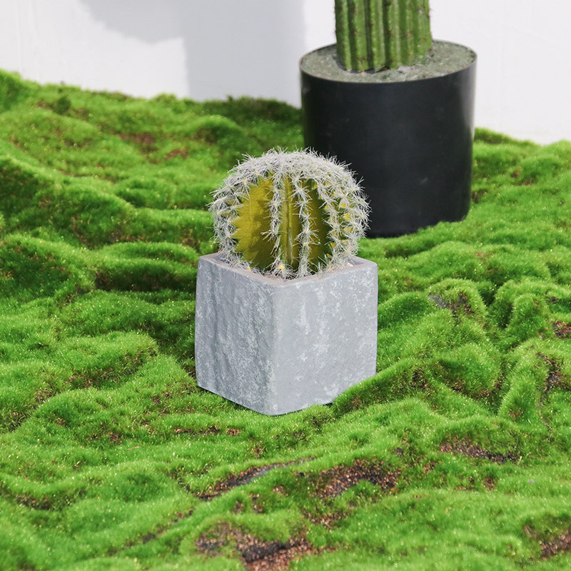 仿真植物草坪装饰绿化青苔造景草皮绿植布景仿真绿植