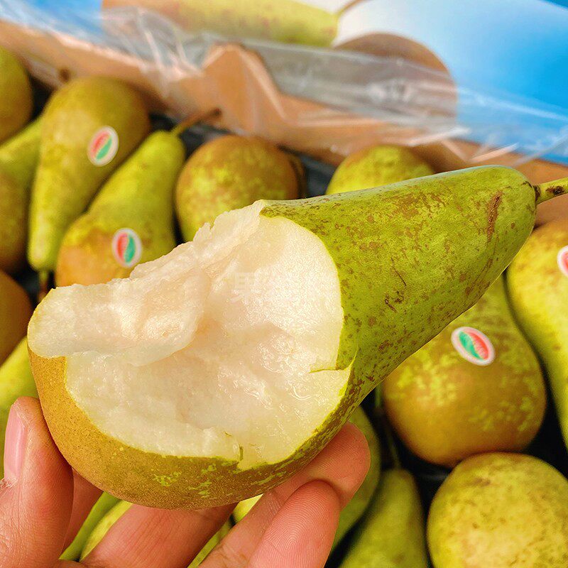 啤梨比利时20-24颗原箱都乐出品truval新鲜水果梨子梨