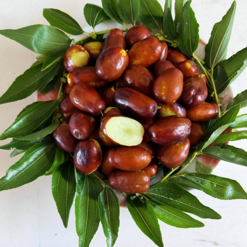 宁夏银川特产鲜枣灵武长枣脆枣甜红红枣新鲜枣