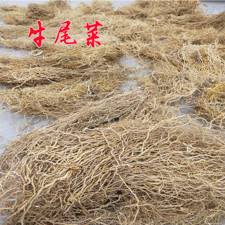 牛尾野生水洗无泥大伸筋草老龙一斤包邮其他药食同源食品