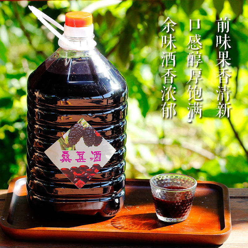 农家桑葚自酿正品52度高粱酒酿酿制桑果果酒果酒