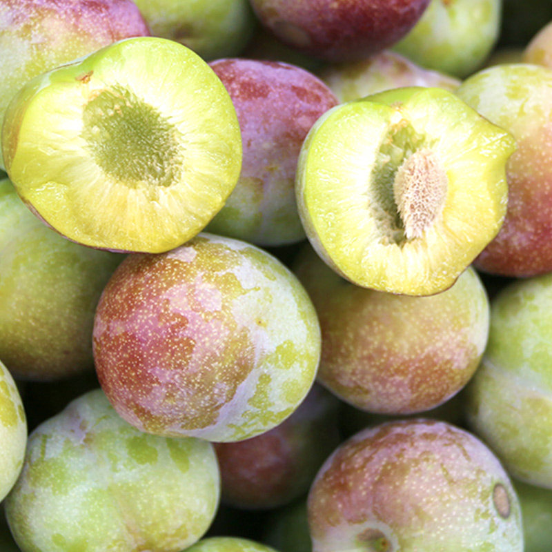 李子新鲜四川半边红茵红李脆甜脱骨孕妇水果李子