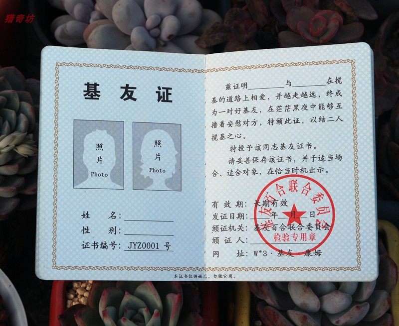 证书基友搞笑奖状个性创意整蛊搞怪礼品千奇百怪趣味证书