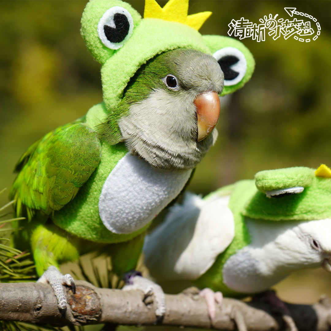 清晰家鹦鹉玄凤秋冬加厚保暖衣服飞行服卫衣帽宠物服装