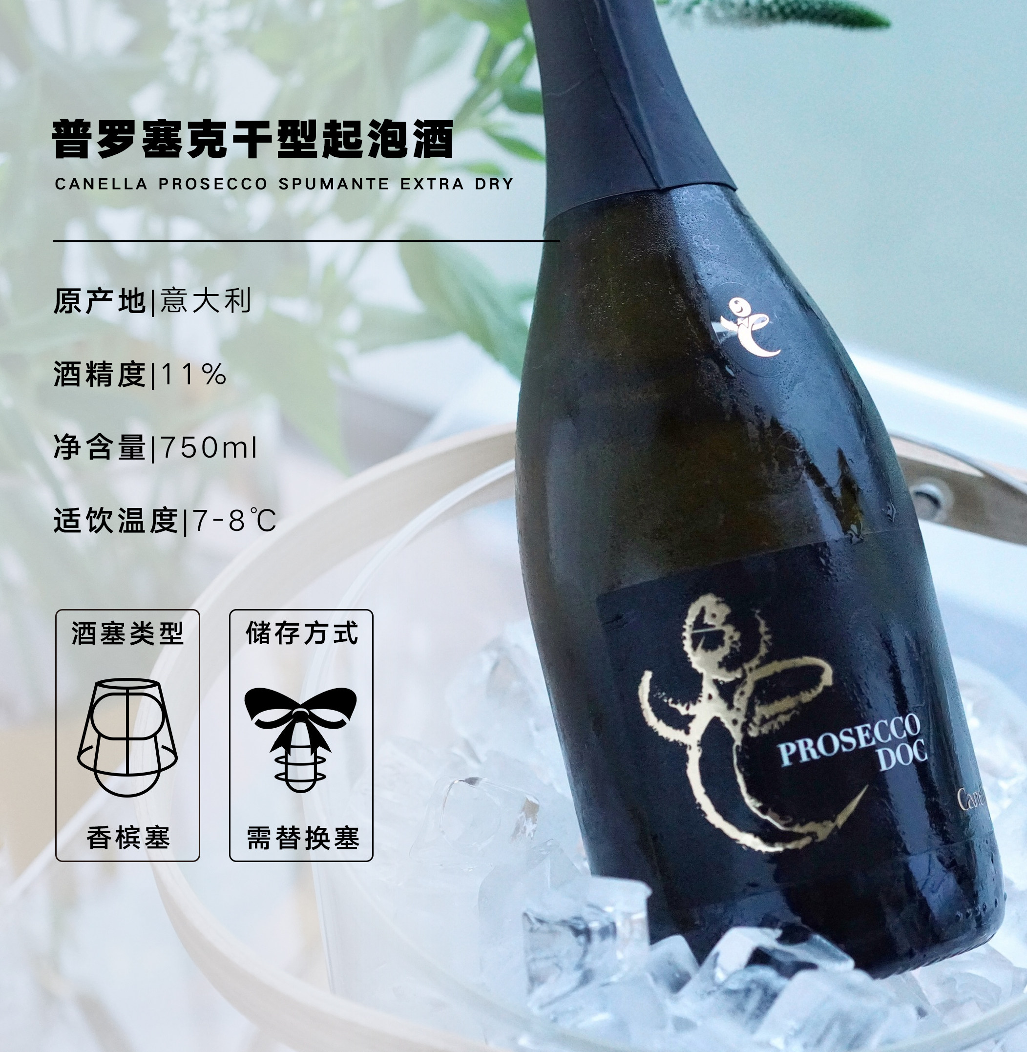 平价香槟意大利canella普罗塞克prosecco干型起泡醉酒起泡及香槟葡萄