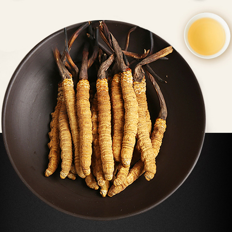 西藏那曲上药神象冬虫夏草6克扎花2盒礼盒12克冬虫夏草