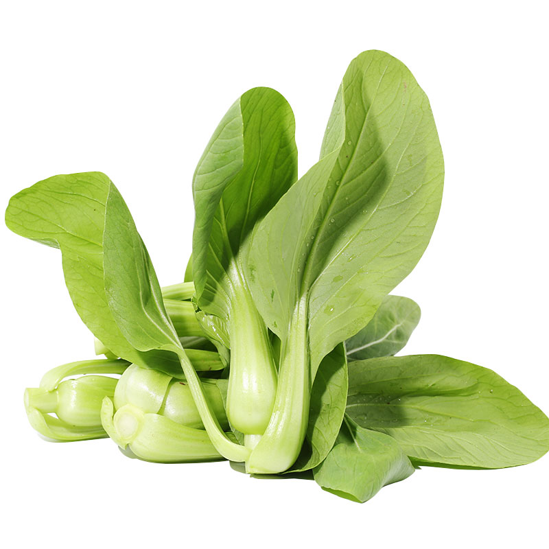 密水农家 自种新鲜油菜 青菜 绿叶菜300g 农家肥 有菜味 新鲜蔬菜