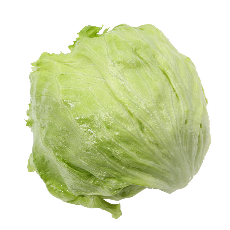 密水农家 新鲜球生菜 圆生菜 自然生长 农家肥 新鲜蔬菜