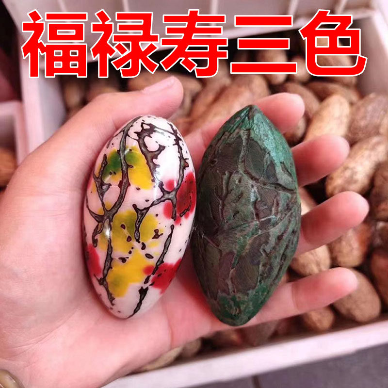 彩色千眼菩提子原籽芽眼珠手把件打磨工具成品福禄寿三色红绿黄色