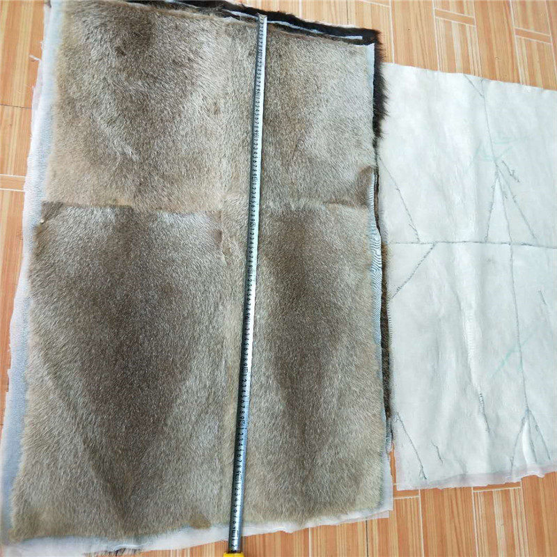 海狸鼠整皮毯子瑜伽坐垫褥子服装面料内胆沙发垫子衣服原料真皮草