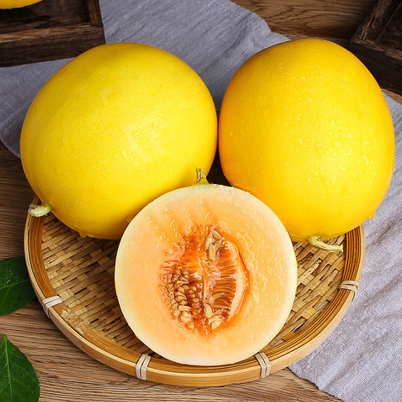 黄河蜜瓜新鲜10斤应当季黄金瓜脆甜孕妇水果整箱哈密瓜甜瓜包邮