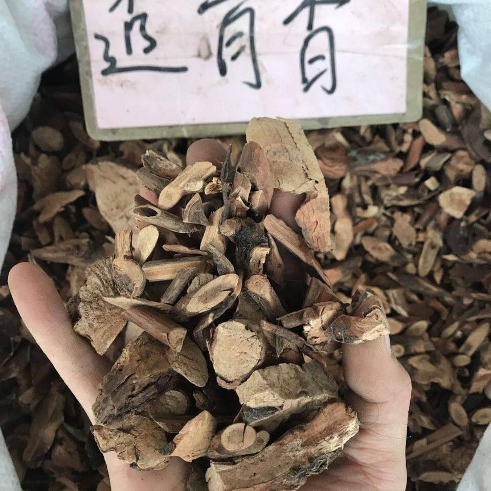 透骨中药材九木木香满山香正品品包其他药食同源食品