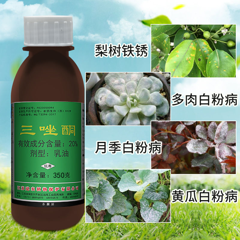 三唑果树锈病月季药多肉药花卉白粉杀菌剂粉锈杀菌剂