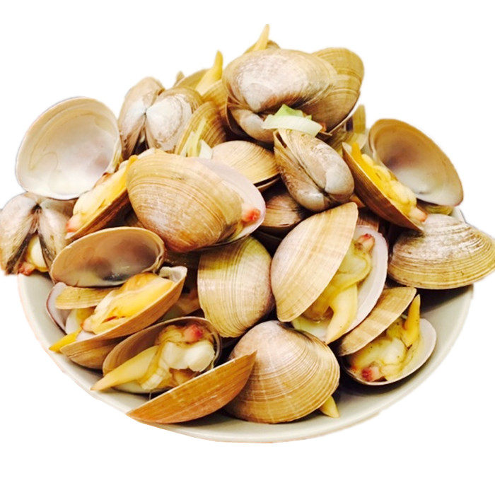 500g 黄蚬子 鲜活 北京闪送 海鲜花甲蛤蜊 大黄蚬子 海捕水产 - 爱购
