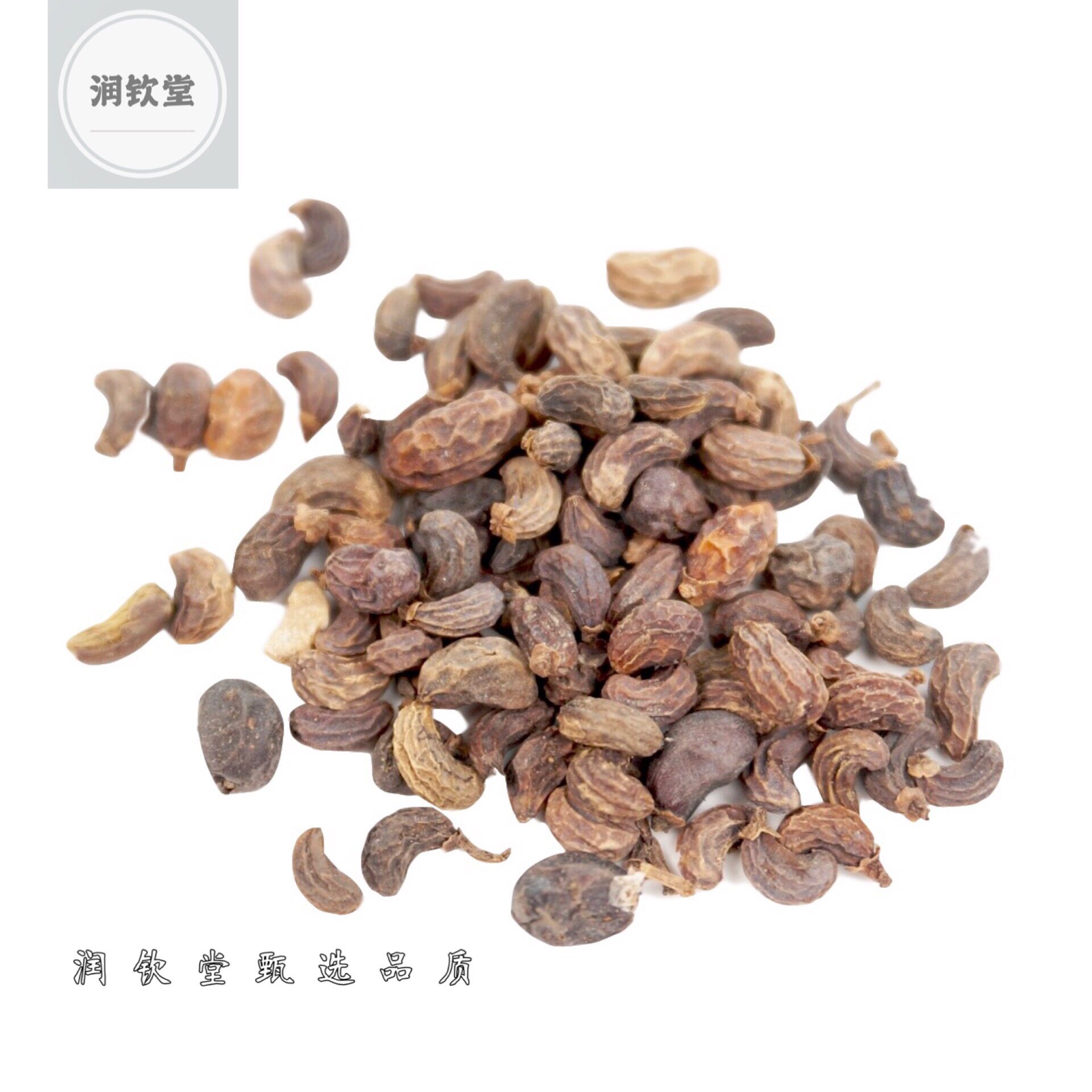 女贞子野生新鲜500克男人泡茶泡酒中药材女贞籽打粉冬青籽2件包邮