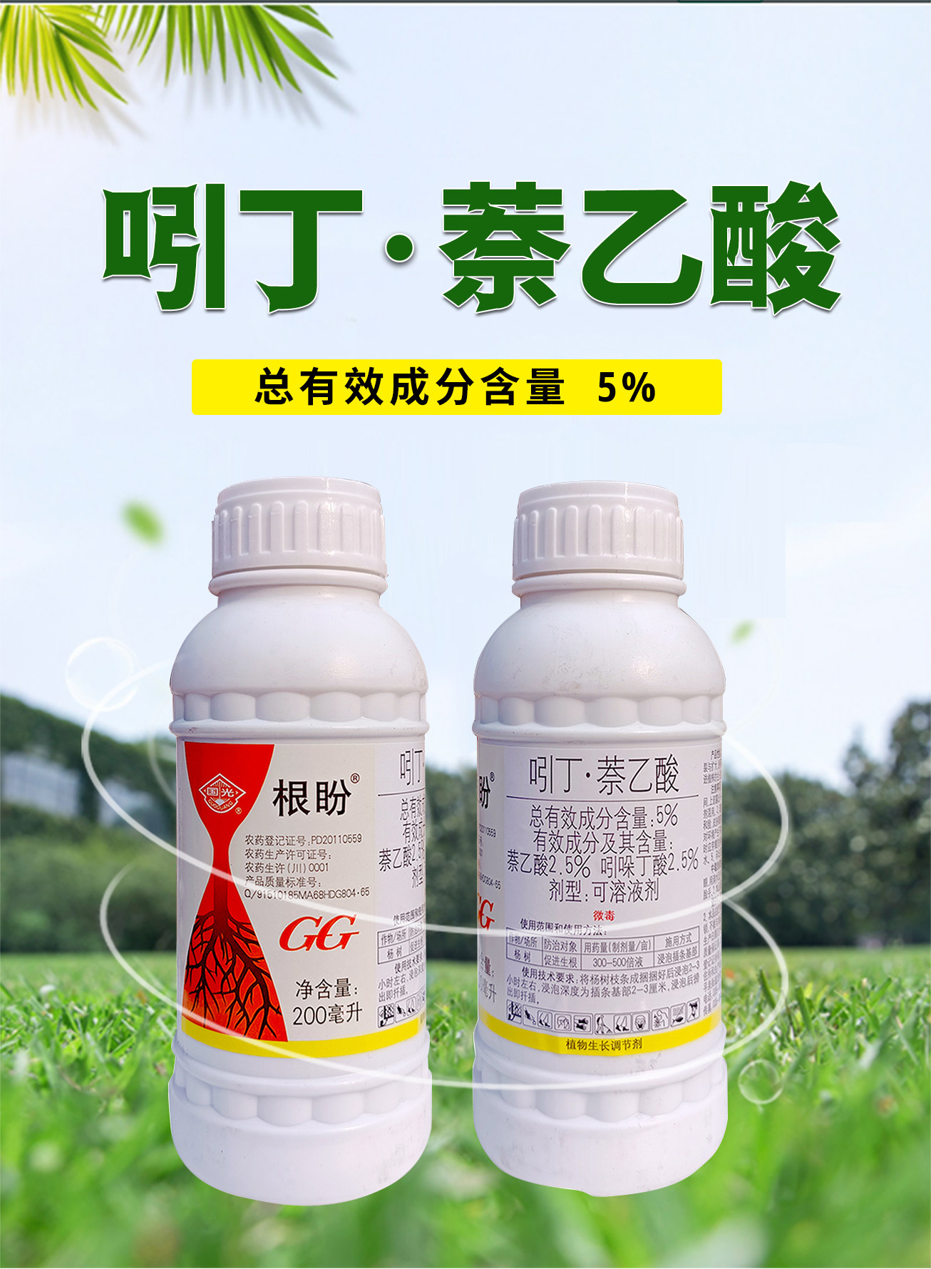 乙酸国光根盼吲哚丁酸杨树促进生根吲丁生长调节剂