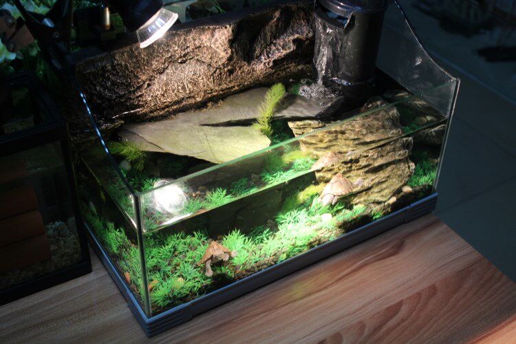 鱼缸造景云片石水龟缸晒台水陆缸青龙石雨林缸假山爬虫岩板石头