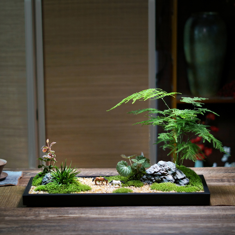 乌金石大型山水景观苔藓文竹菖蒲组合盆景办公桌造型盆景