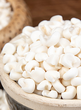 广西忻城珍珠头大颗粒雪芽白糯玉米