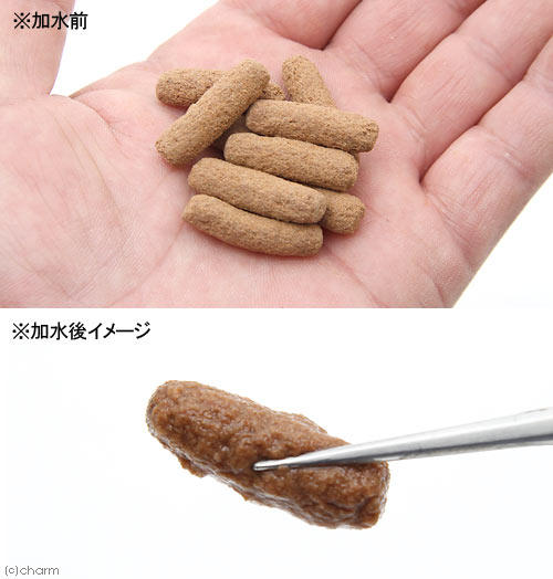 角蛙高够力食物树蛙蛙粮两栖均衡营养40g饲料爬虫