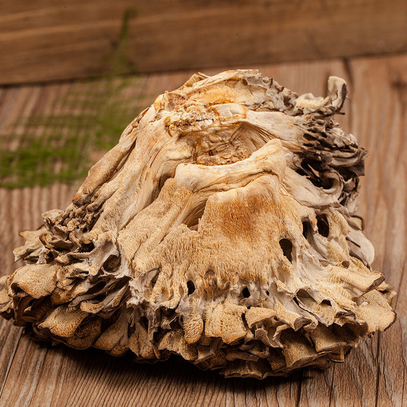 丛林姑娘灰树花 干货 云南野生特级原生态无泥沙散装100g