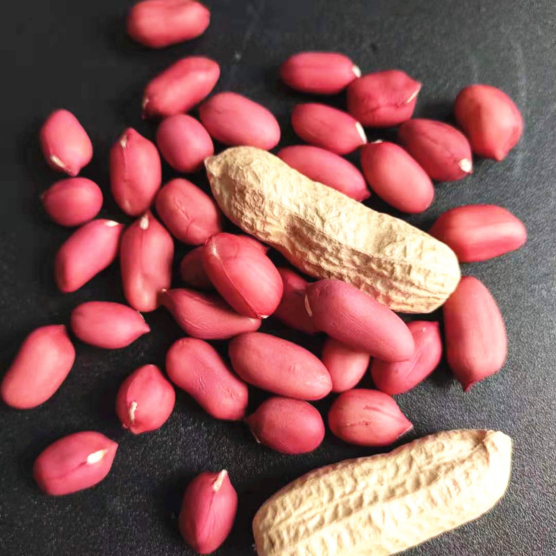 花生带壳2020年新鲜红皮现挖水煮农家四粒红衣花生