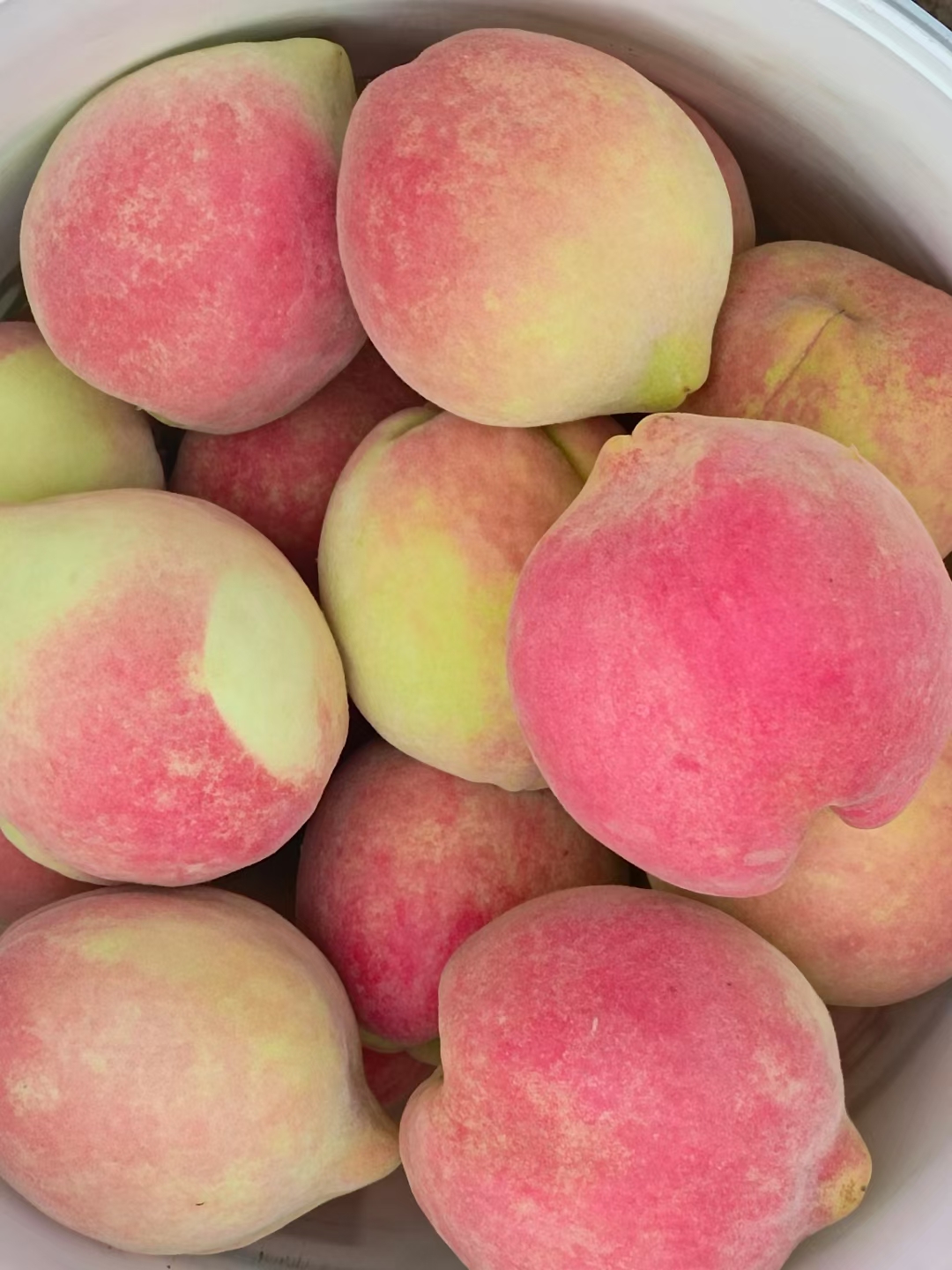 唐县中华寿桃脆甜可口果园现摘现发冬桃仙女桃