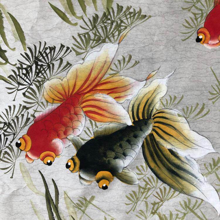 金玉满堂手绘三尺斗方工笔花鸟金鱼国画玄关客厅国画