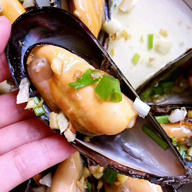 舟山海鲜野生淡菜海虹青口贝壳鲜活5斤装,江浙沪皖包邮