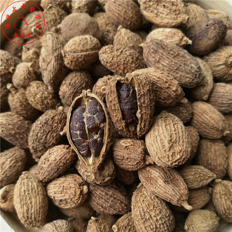 中药材砂仁沙仁香料250g毛青果米香小广东阳春砂仁