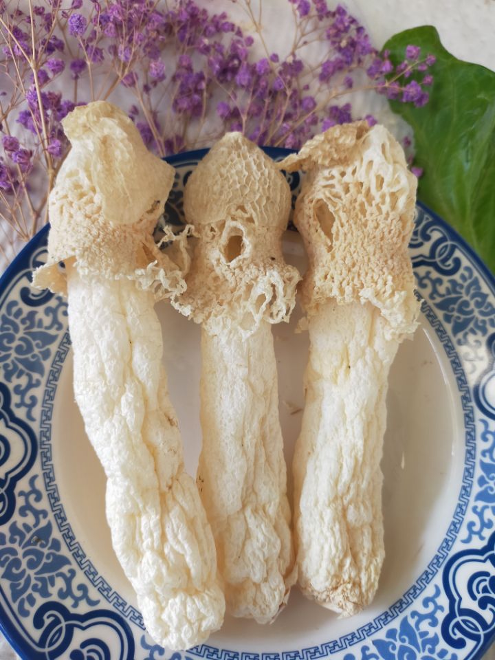 2022年贵州红托竹荪脱水干货100克食用菌蘑菇餐厅竹荪