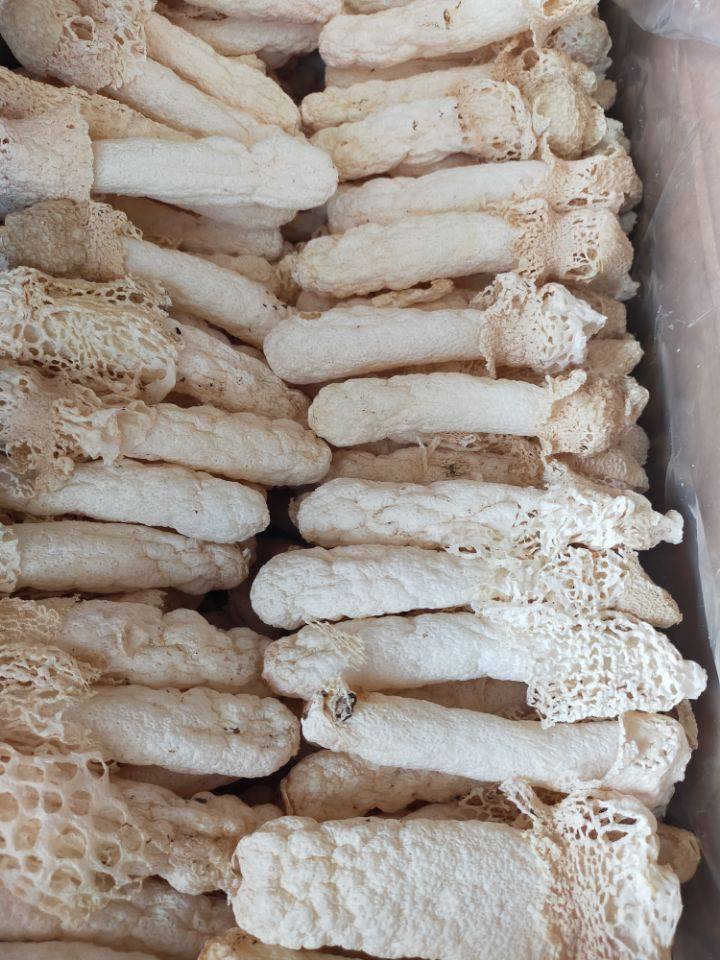2022年贵州红托竹荪脱水干货100克食用菌蘑菇餐厅竹荪