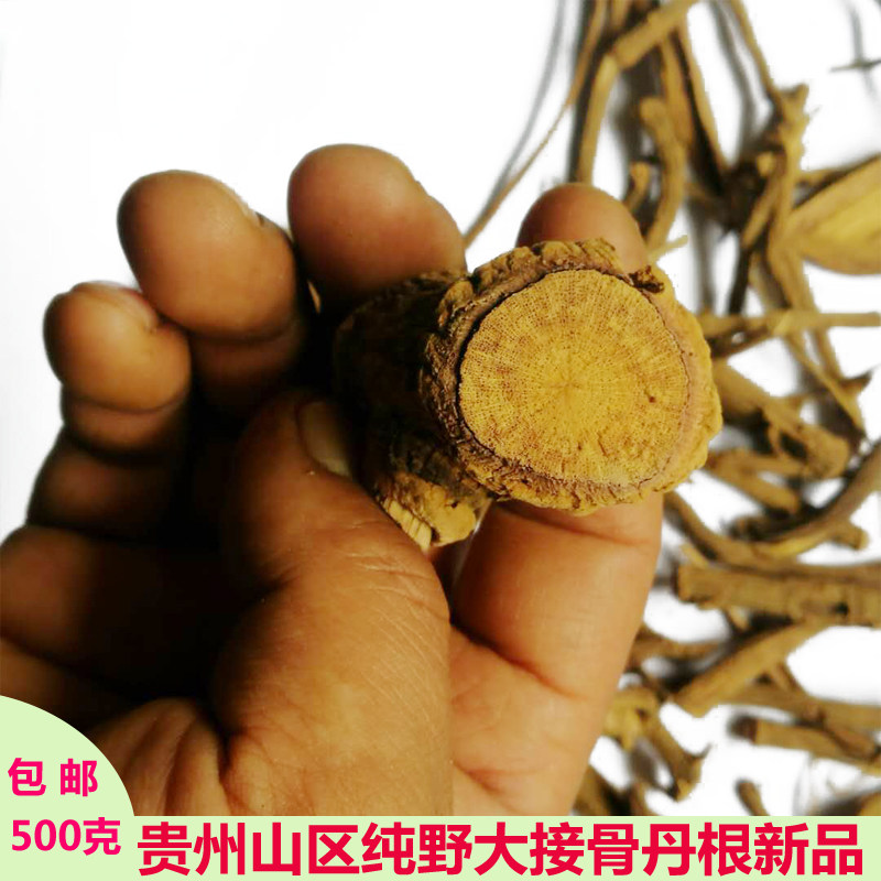 接骨野生生水冬瓜贵州中药材丹叨里木清清明草树传统滋补品其他