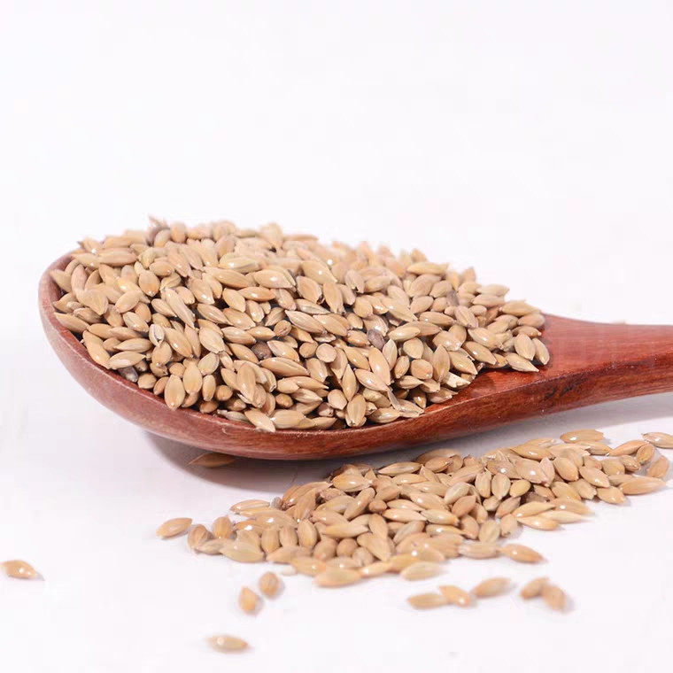 鹦鹉白尖粟粮包雀鸟花黄葵花芙蓉金丝雀鸟食加纳鸟食