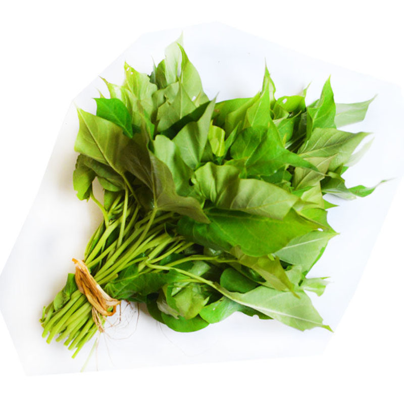 叶苗3斤红薯食叶型地瓜番薯宝宝辅食红苕嫩尖叶菜类