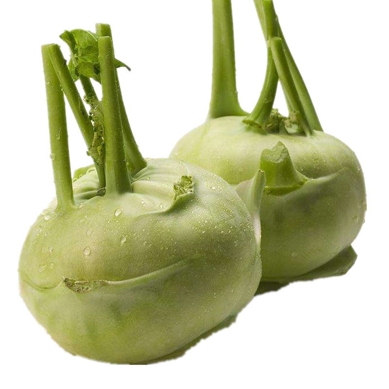 青苤兰种子蔬菜种孑茄莲玉蔓菁球茎甘蓝农家秋季菜种子丕兰种籽