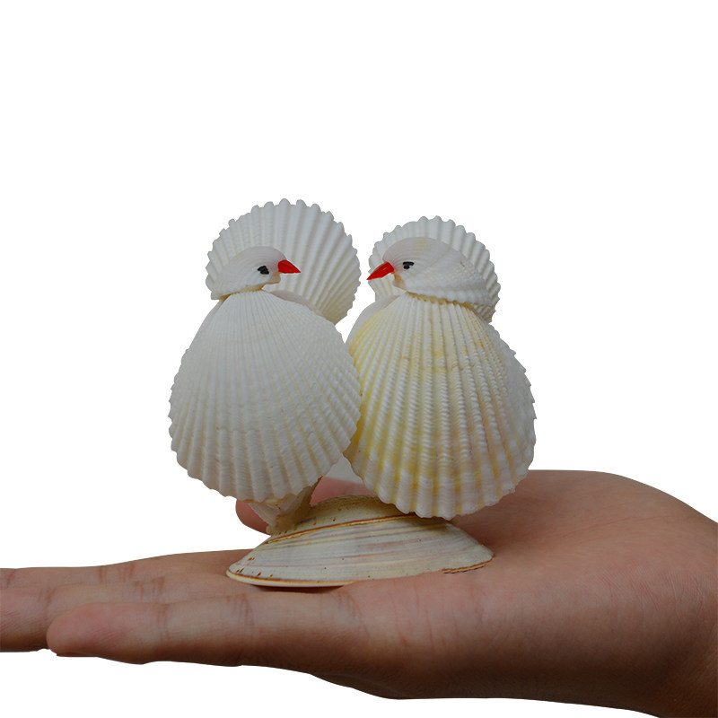 天然海螺贝壳爱情鸟摆件工艺品情侣礼物一对小鸟海螺