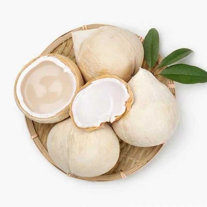 泰国牛奶椰皇新鲜椰子水果小香香水椰王椰奶椰青